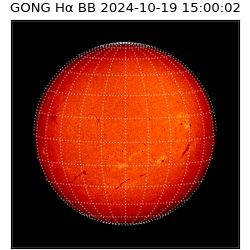 gong - 2024-10-19T15:00:02