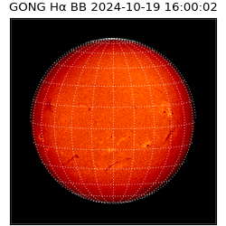 gong - 2024-10-19T16:00:02