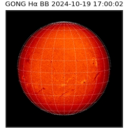 gong - 2024-10-19T17:00:02