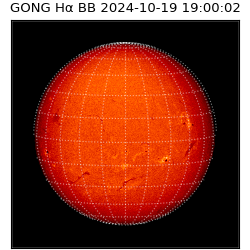 gong - 2024-10-19T19:00:02