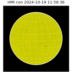 shmi - 2024-10-19T11:58:36