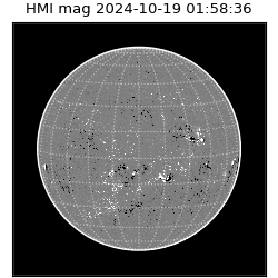 shmi - 2024-10-19T01:58:36