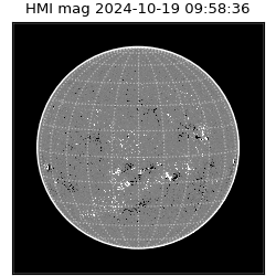 shmi - 2024-10-19T09:58:36