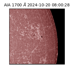 saia - 2024-10-20T08:00:28.729000