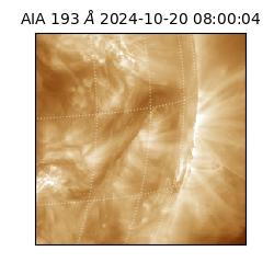 saia - 2024-10-20T08:00:04.842000