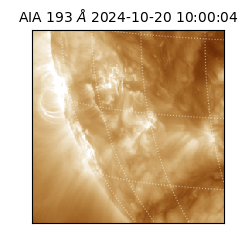 saia - 2024-10-20T10:00:04.843000