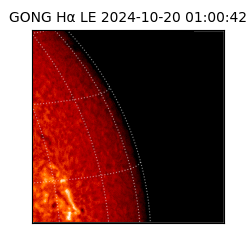 gong - 2024-10-20T01:00:42