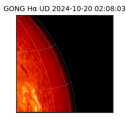 gong - 2024-10-20T02:08:03