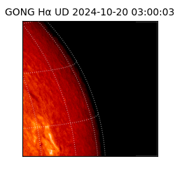 gong - 2024-10-20T03:00:03