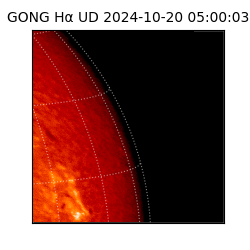 gong - 2024-10-20T05:00:03