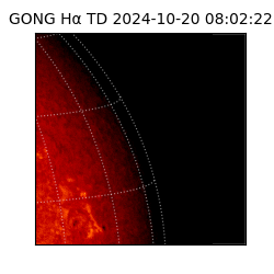 gong - 2024-10-20T08:02:22