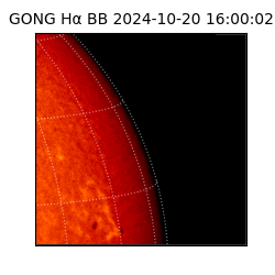 gong - 2024-10-20T16:00:02