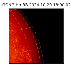 gong - 2024-10-20T18:00:02