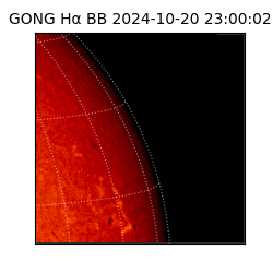 gong - 2024-10-20T23:00:02