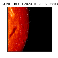gong - 2024-10-20T02:08:03