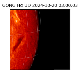 gong - 2024-10-20T03:00:03