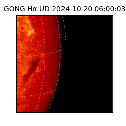 gong - 2024-10-20T06:00:03