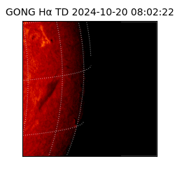 gong - 2024-10-20T08:02:22