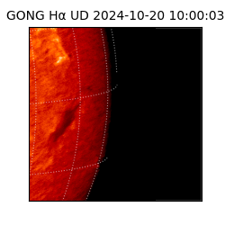 gong - 2024-10-20T10:00:03