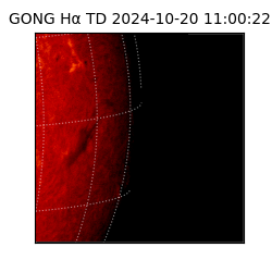 gong - 2024-10-20T11:00:22