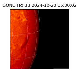 gong - 2024-10-20T15:00:02