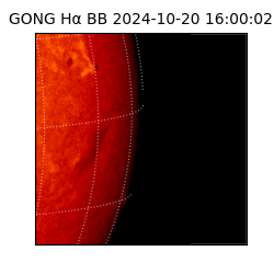 gong - 2024-10-20T16:00:02