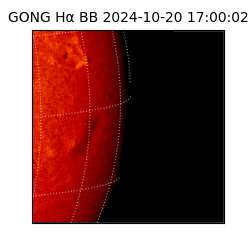 gong - 2024-10-20T17:00:02