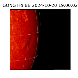 gong - 2024-10-20T19:00:02