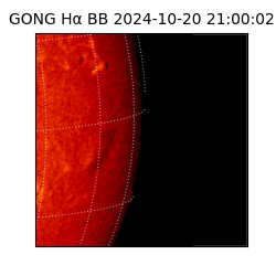 gong - 2024-10-20T21:00:02
