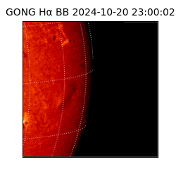 gong - 2024-10-20T23:00:02