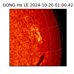 gong - 2024-10-20T01:00:42