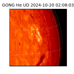 gong - 2024-10-20T02:08:03