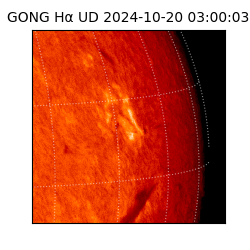 gong - 2024-10-20T03:00:03