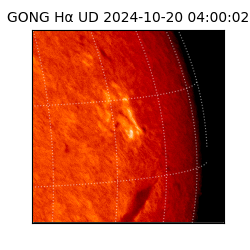 gong - 2024-10-20T04:00:02