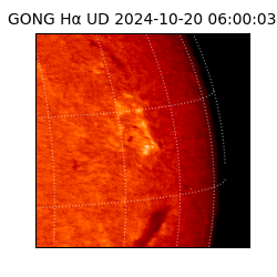 gong - 2024-10-20T06:00:03