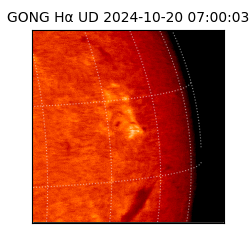 gong - 2024-10-20T07:00:03