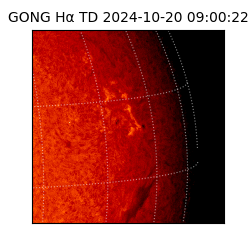 gong - 2024-10-20T09:00:22