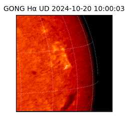 gong - 2024-10-20T10:00:03