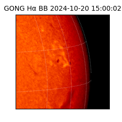 gong - 2024-10-20T15:00:02