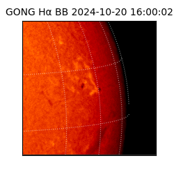 gong - 2024-10-20T16:00:02