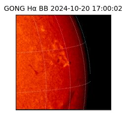 gong - 2024-10-20T17:00:02