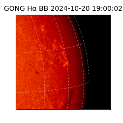 gong - 2024-10-20T19:00:02