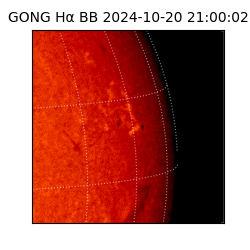 gong - 2024-10-20T21:00:02