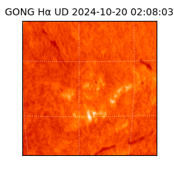 gong - 2024-10-20T02:08:03