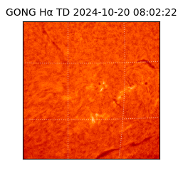 gong - 2024-10-20T08:02:22