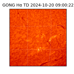 gong - 2024-10-20T09:00:22