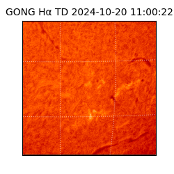 gong - 2024-10-20T11:00:22