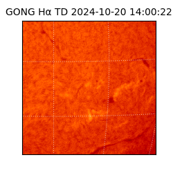 gong - 2024-10-20T14:00:22