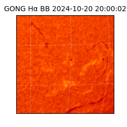 gong - 2024-10-20T20:00:02