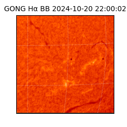 gong - 2024-10-20T22:00:02